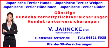 Japanische-Terrier