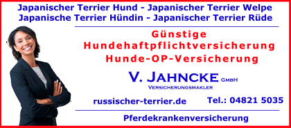 Japanischer-Terrier